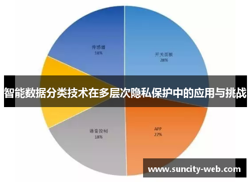 智能数据分类技术在多层次隐私保护中的应用与挑战